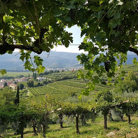 Agriturismo Valentina Cubi Фумане Экстерьер фото